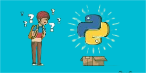 Why Learn Python in 2025? | PyVerse – Your Ultimate Python Learning Platform